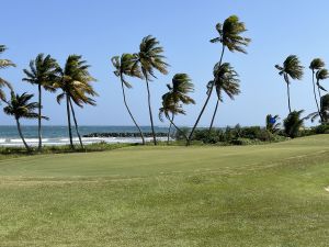 Tobago Plantations 14th Green